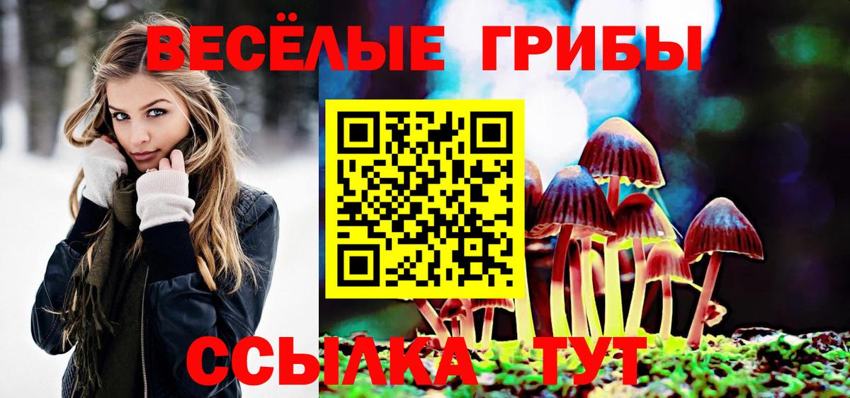 Галлюциногенные грибы Psilocybine cubensis Саров